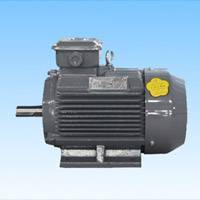 东莞Y2KQ160∽355系列三相异步电动机